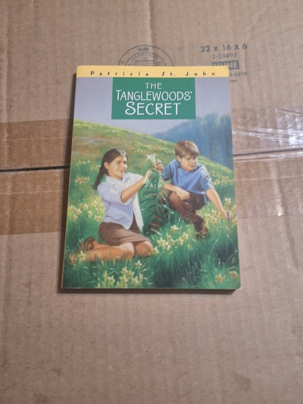 The Tanglewoods' Secret